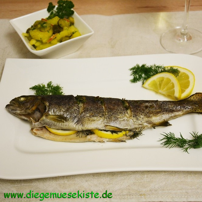 Forelle mit Kartoffelsalat