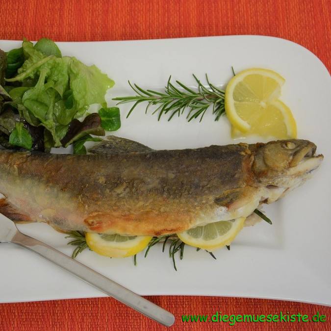 Gebratener Bachsaibling