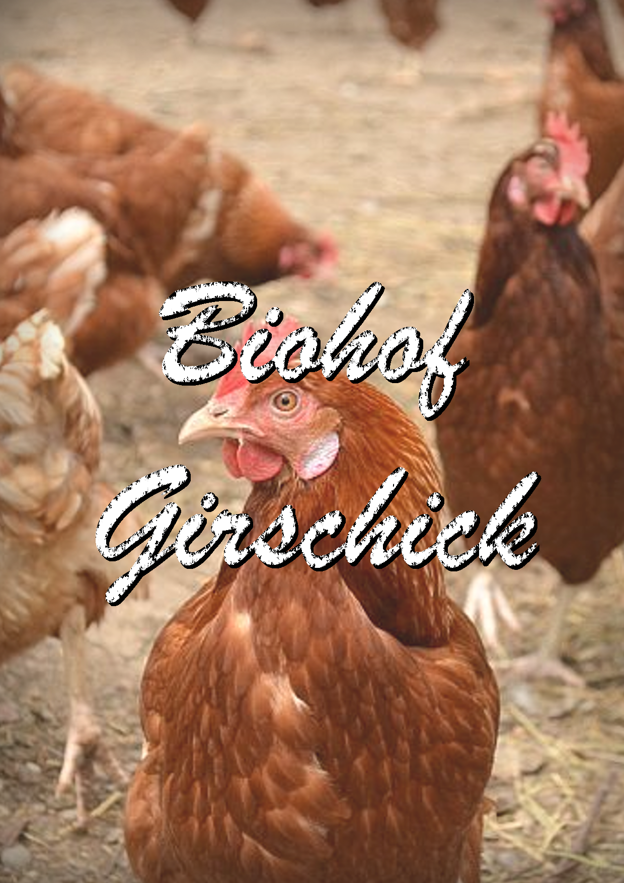 "Hof auf der Höhe" Herbert und Birgit Girschik, Mühltal/Frankenhausen (Bioland)