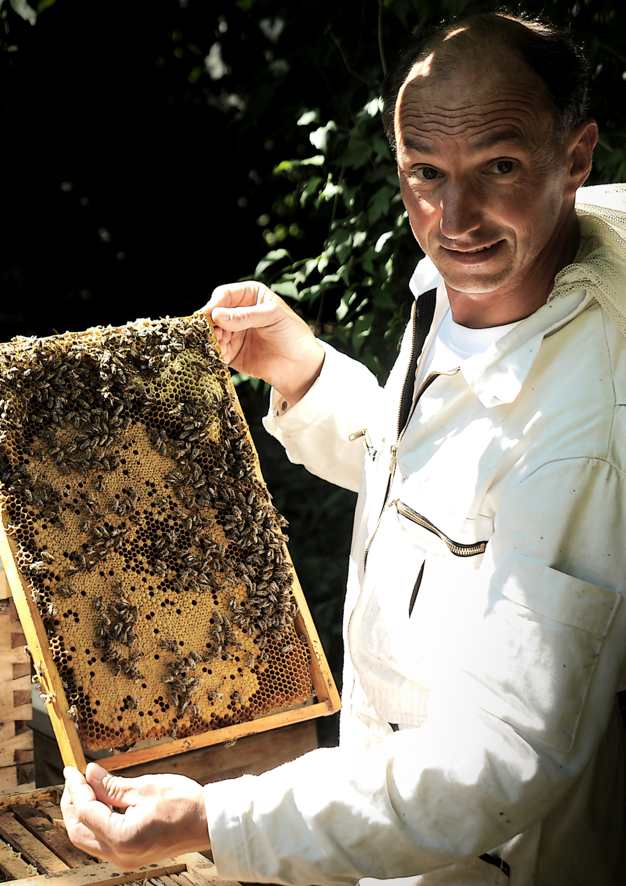 Horst Metzger, Biebesheim (Demeter)