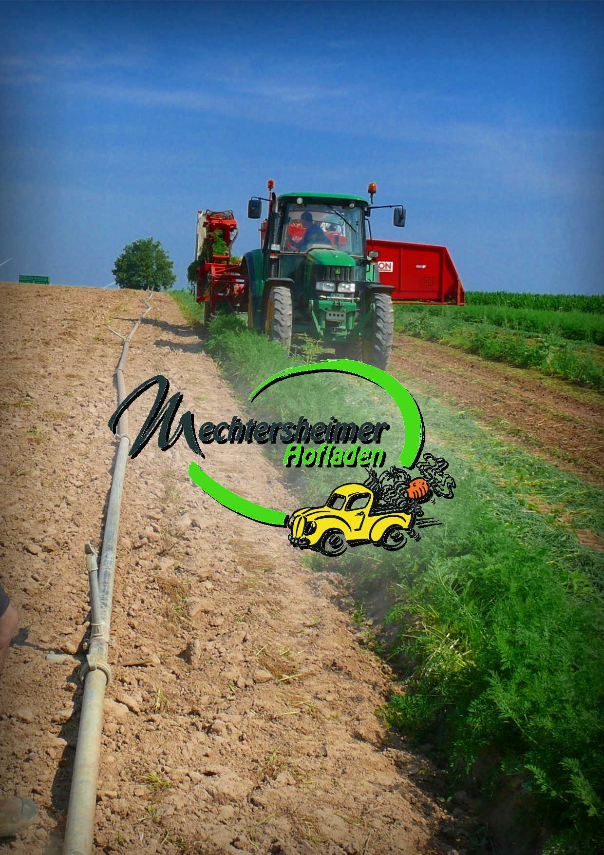 Hofgemeinschaft Mechtersheim, Römerberg in der Pfalz (Bioland)