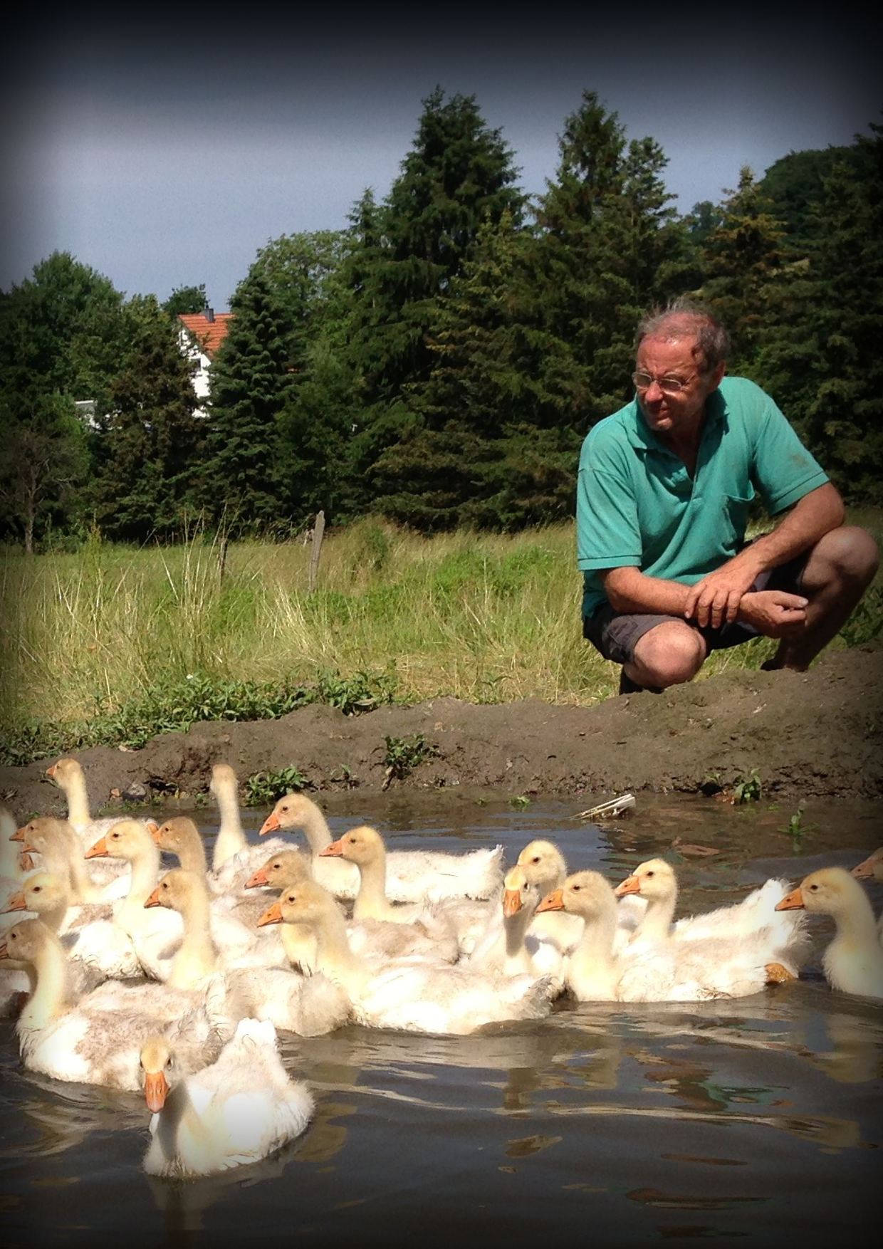 Werner Jährling, Modautal (Demeter)