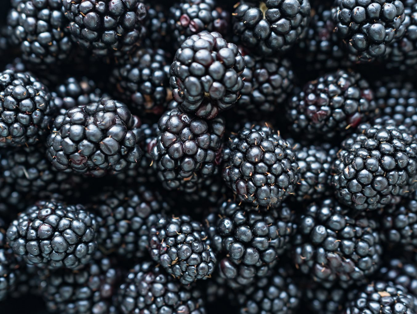Brombeeren