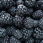Brombeeren